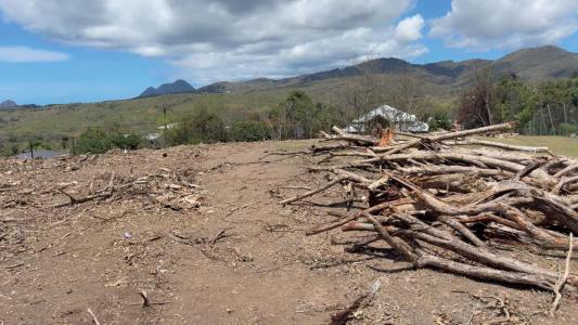For sale Riviere-salee 1212 m2 Martinique (97215) photo 1