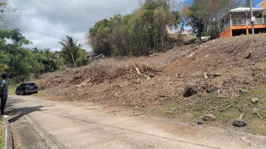 For sale Riviere-salee 1212 m2 Martinique (97215) photo 3
