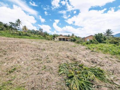 Annonce Vente Terrain Morne-rouge 972
