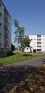 Acheter en viager Appartement 79 m2 Saint-sebastien-sur-loire