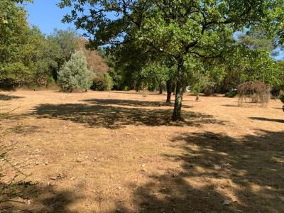 Acheter Maison Pluvigner 318060 euros