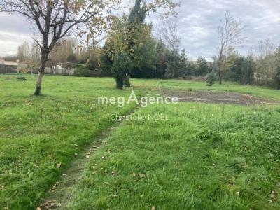 For sale Lucon 2700 m2 Vendee (85400) photo 2