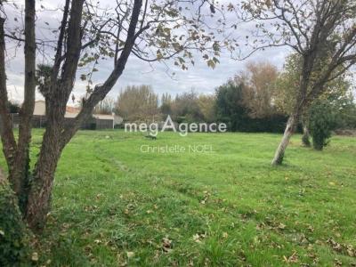 For sale Lucon 2700 m2 Vendee (85400) photo 3