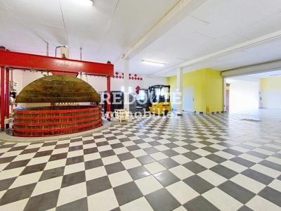 For sale Chavot-courcourt 5 rooms 423 m2 Marne (51200) photo 2