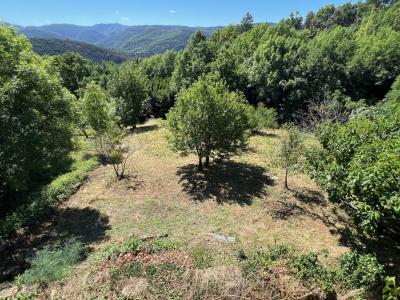 For sale AU CALME 4 rooms 76 m2 Herault (34390) photo 2