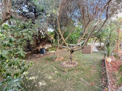 Annonce Vente 4 pi�ces Maison  11