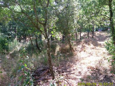 Acheter Terrain 1200 m2 Mayons