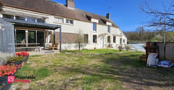 Annonce Vente 5 pi�ces Maison Selle-sur-le-bied 45