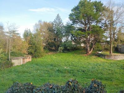 For sale Champtoceaux OREE-D-ANJOU 1200 m2 Maine et loire (49270) photo 0