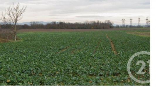 Annonce Vente Terrain Genas 69