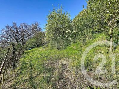 Annonce Vente Terrain Givors 69