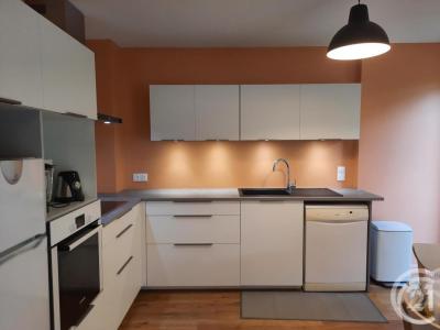 Louer Appartement Lyon-8eme-arrondissement 1230 euros
