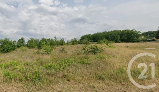 Annonce Vente Terrain Chanas 38