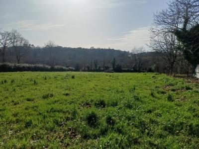 Acheter Maison Plouay 184135 euros