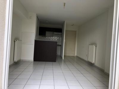 Annonce Location 2 pi�ces Appartement Toulouse 31