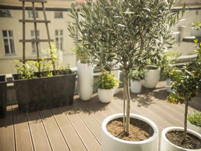 For sale Montrouge 2 rooms 46 m2 Hauts de Seine (92120) photo 2