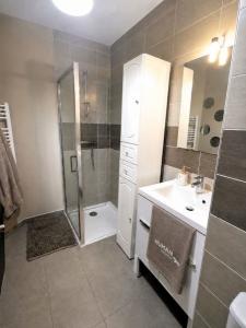 Acheter Appartement Pont-de-cheruy Isere