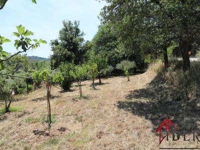 Acheter Terrain 1557 m2 Collobrieres