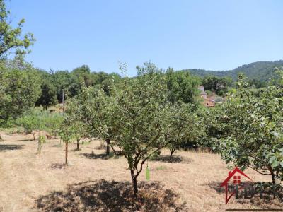 Acheter Terrain Collobrieres Var
