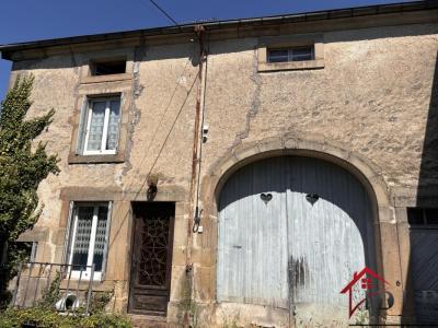 For sale Fresnes-sur-apance 3 rooms 105 m2 Haute marne (52400) photo 0