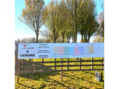 For sale Ruisseauville 986 m2 Pas de calais (62310) photo 2