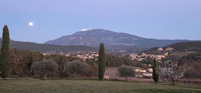 For sale 8 rooms 250 m2 Vaucluse (84110) photo 3