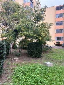 Louer Appartement  520 euros