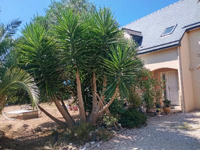 For sale Saint-meloir-des-ondes Saint M�loir des Ondes 10 rooms 165 m2 Ille et vilaine (35350) photo 4