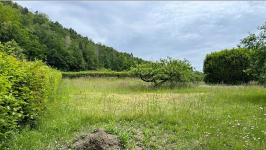 Annonce Vente Terrain Saint-sylvestre 74
