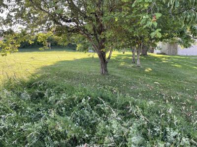 For sale Cuvat 6 rooms 130 m2 Haute savoie (74350) photo 1
