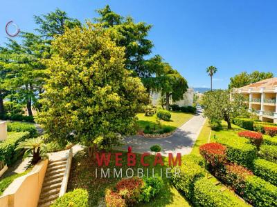 For sale Cannes 3 rooms 35 m2 Alpes Maritimes (06400) photo 0