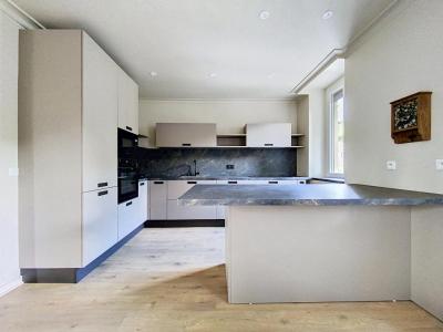 Annonce Vente 4 pi�ces Appartement Vienne 38
