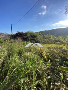 Acheter Terrain 883 m2 Saint-joseph