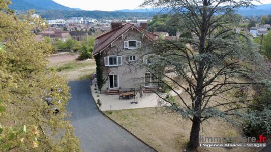 Acheter Maison 350 m2 Saint-die