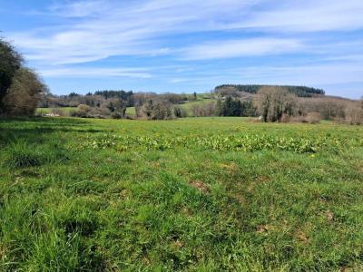 For sale Haute vienne (87130) photo 0