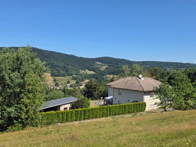 For sale Syndicat 8 rooms 235 m2 Vosges (88120) photo 0