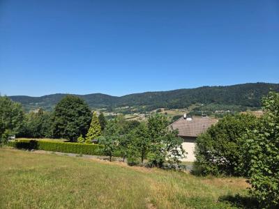 Annonce Vente 8 pi�ces Maison Syndicat 88