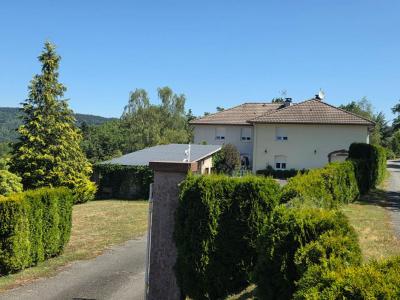 Acheter Maison 235 m2 Syndicat