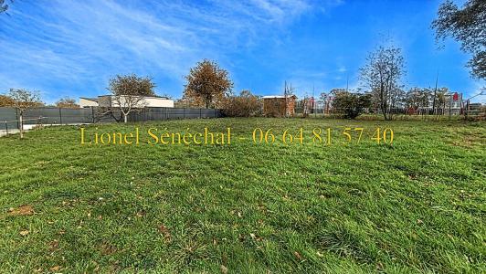 Acheter Terrain Joue-l'abbe Sarthe