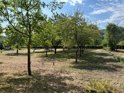 Annonce Vente 6 pi�ces Maison Saint-pierre-de-mailloc 14