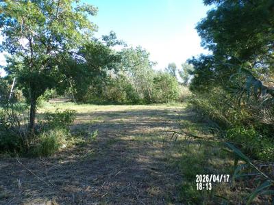 Acheter Terrain 3816 m2 Fabrezan
