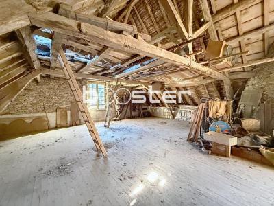 Acheter Maison 630 m2 Segur-le-chateau