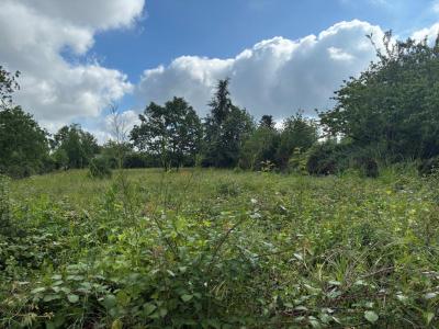 Annonce Vente Terrain Albi 81