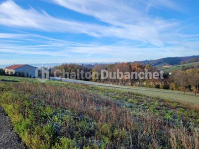 Annonce Vente Terrain Montchal 42