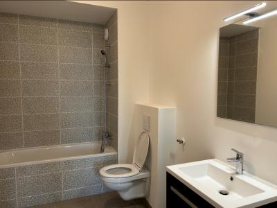 Louer Appartement 40 m2 Nancy