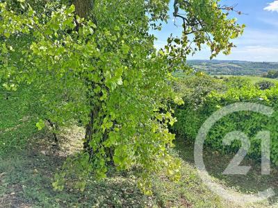 For sale Chuzelles 602 m2 Isere (38200) photo 2