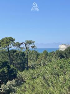 For sale Sables-d'olonne 2 rooms 42 m2 Vendee (85100) photo 0