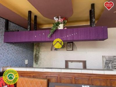 For sale Pierrefort 3 rooms 44 m2 Cantal (15230) photo 3
