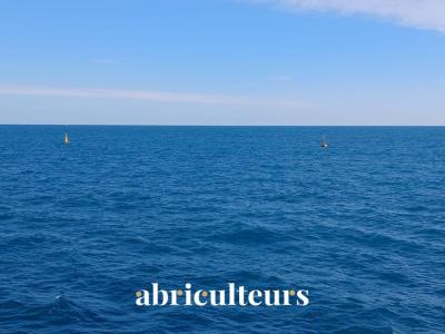 Acheter Appartement Roquebrune-cap-martin 549995 euros
