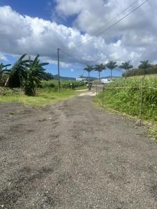 Annonce Vente Maison Ducos 972